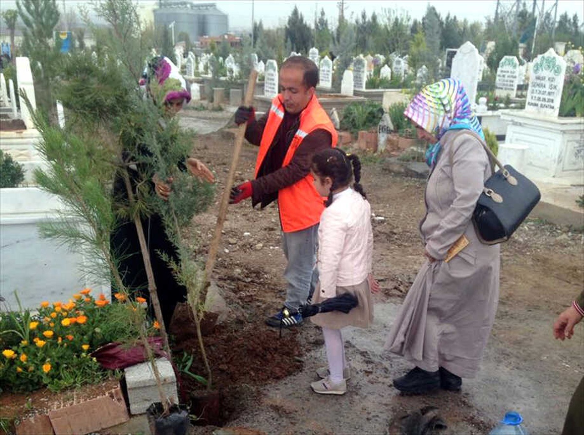 Batman\'da Vatandaşlara Ücretsiz Fidan Dağıtımı