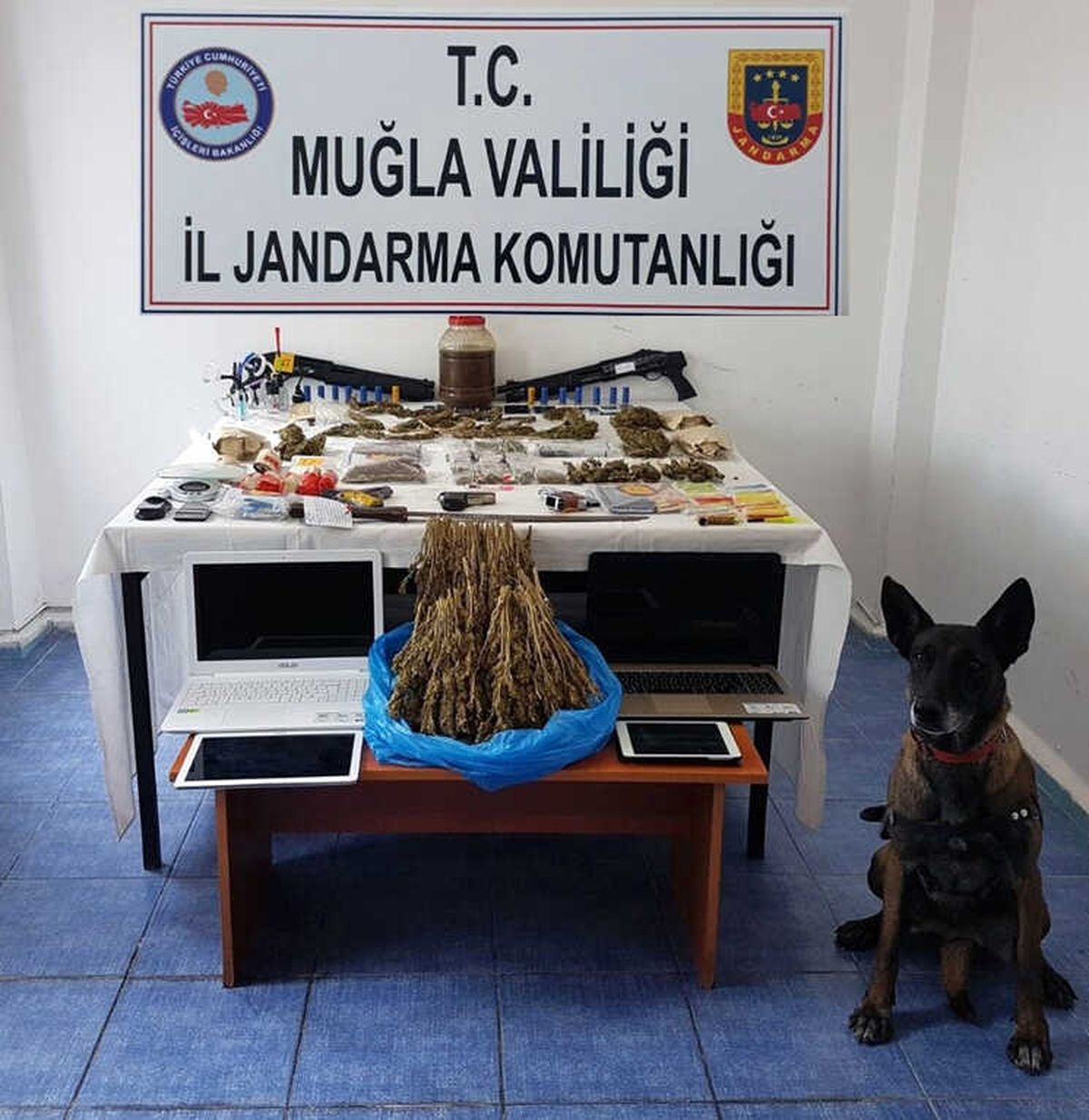 Bodrum\'da Jandarmadan Uyuşturucu Operasyonu