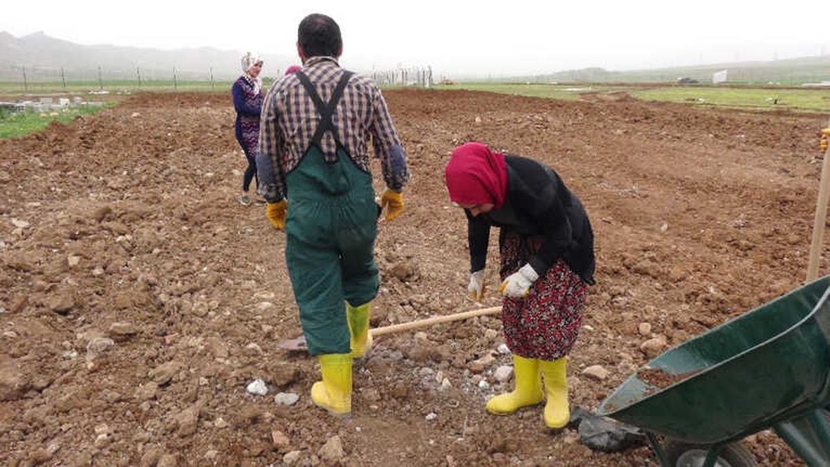Çiftçi Eğitim Merkezi\'nde İlk Eğitimler Verilmeye Başlandı