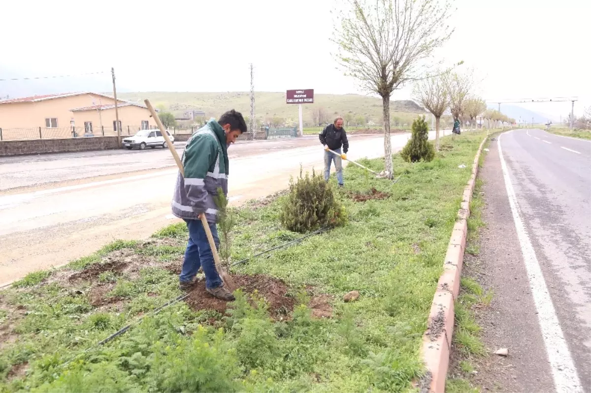 Develi\'de Park ve Bahçe Ekiplerinden İlkbahar Hazırlığı