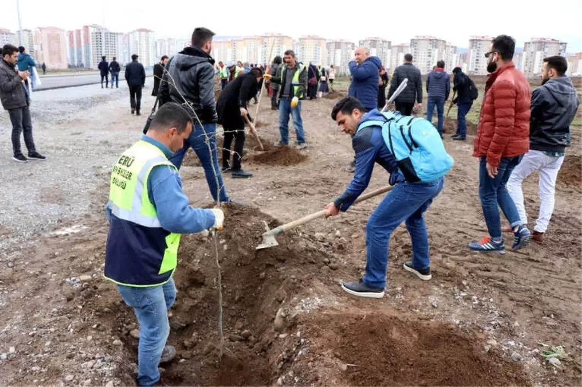 Öğrenciler Afrin ve El Bab Şehitleri İçin Ağaç Dikti