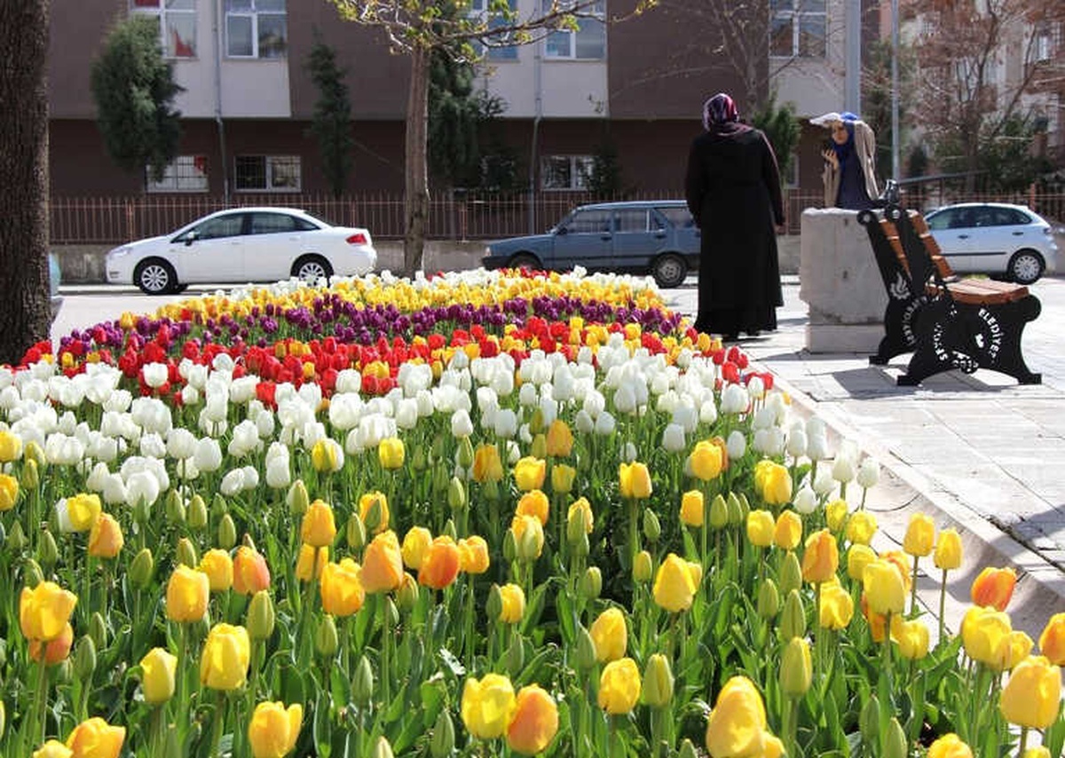Seydişehir Laleler Rengarenk Açtı