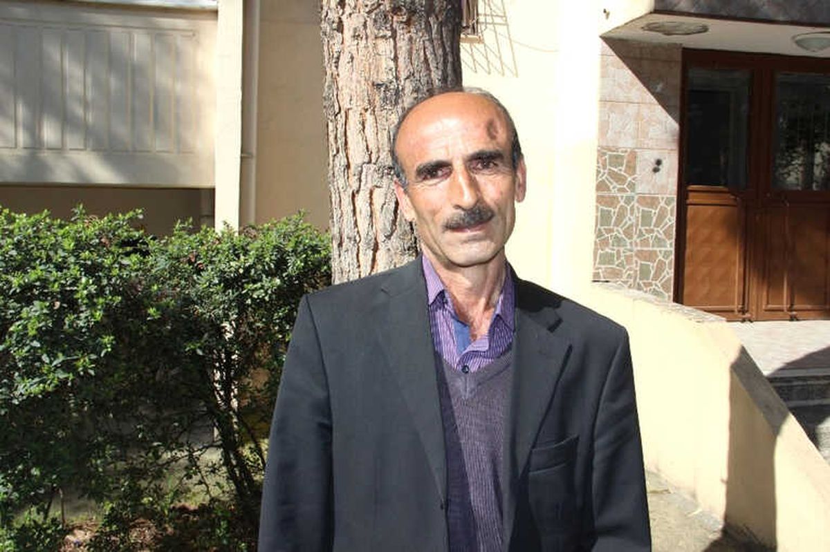 15 Metrelik Ağaçta Mahsur Kalan Kediyi Canı Pahasına Kurtardı