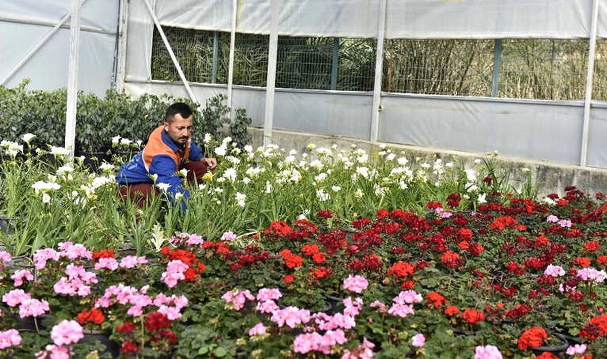 21 Bin 765 Bitki ve Çiçek Gün Sayıyor