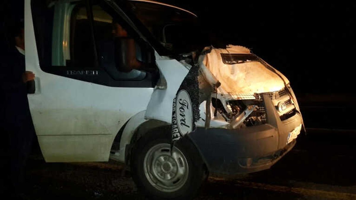 At Kazaya Neden Oldu: 1 Yaralı