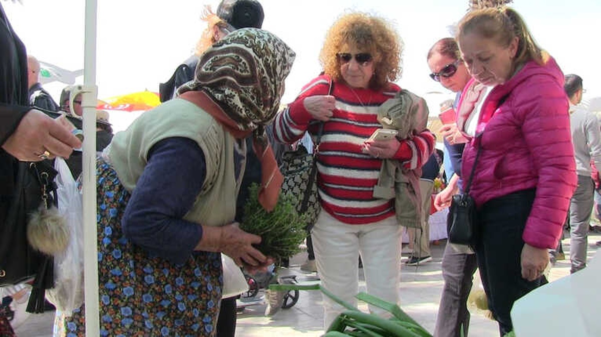 Halikarns Ot Festivali Yapıldı