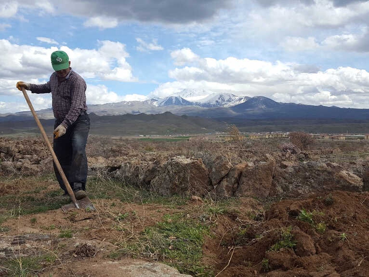 Havalar Isındı, Vatandaşlar Bağa Akın Etti