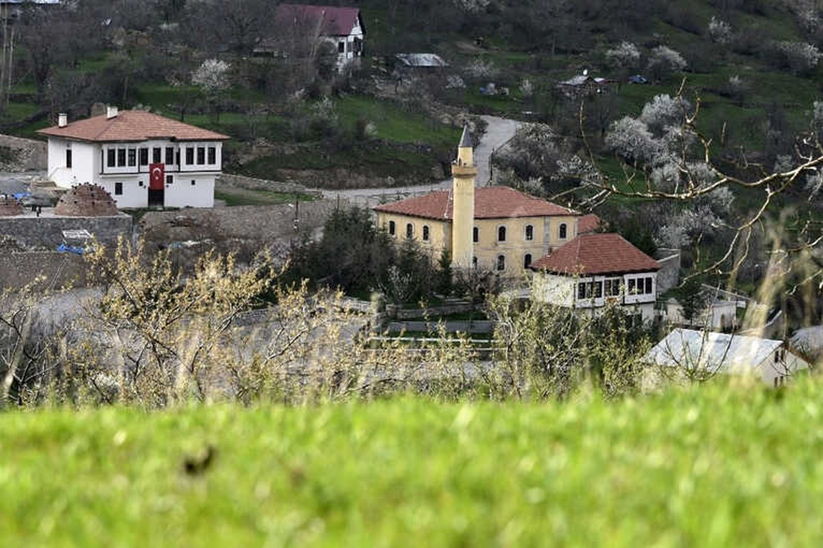 Tarihi Süleymaniye Mahallesi Bahar Güzelliği