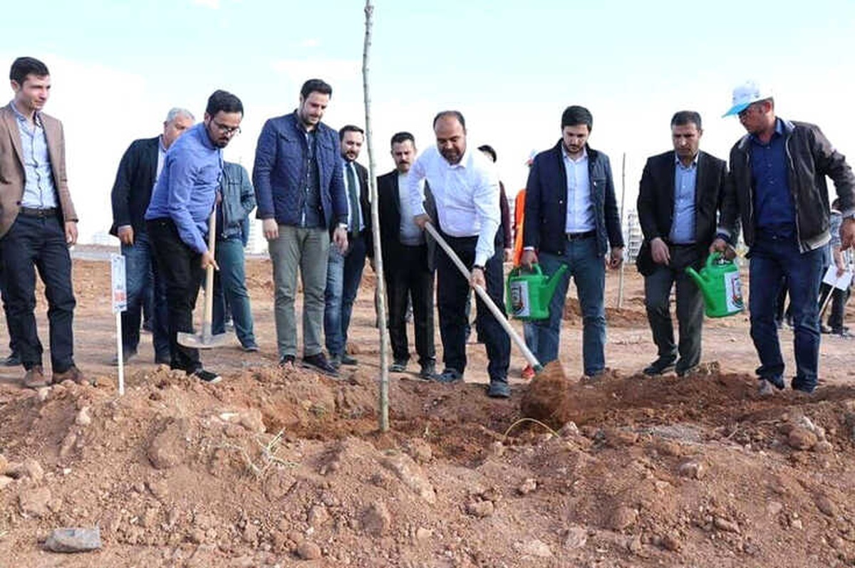 Afrin Şehitleri İçin Fidan Dikimi Yapıldı