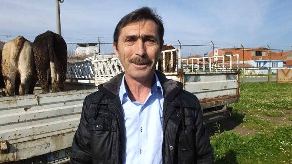 Burhaniye\'de 7 Çiftçiye 42 Düve Dağıtıldı