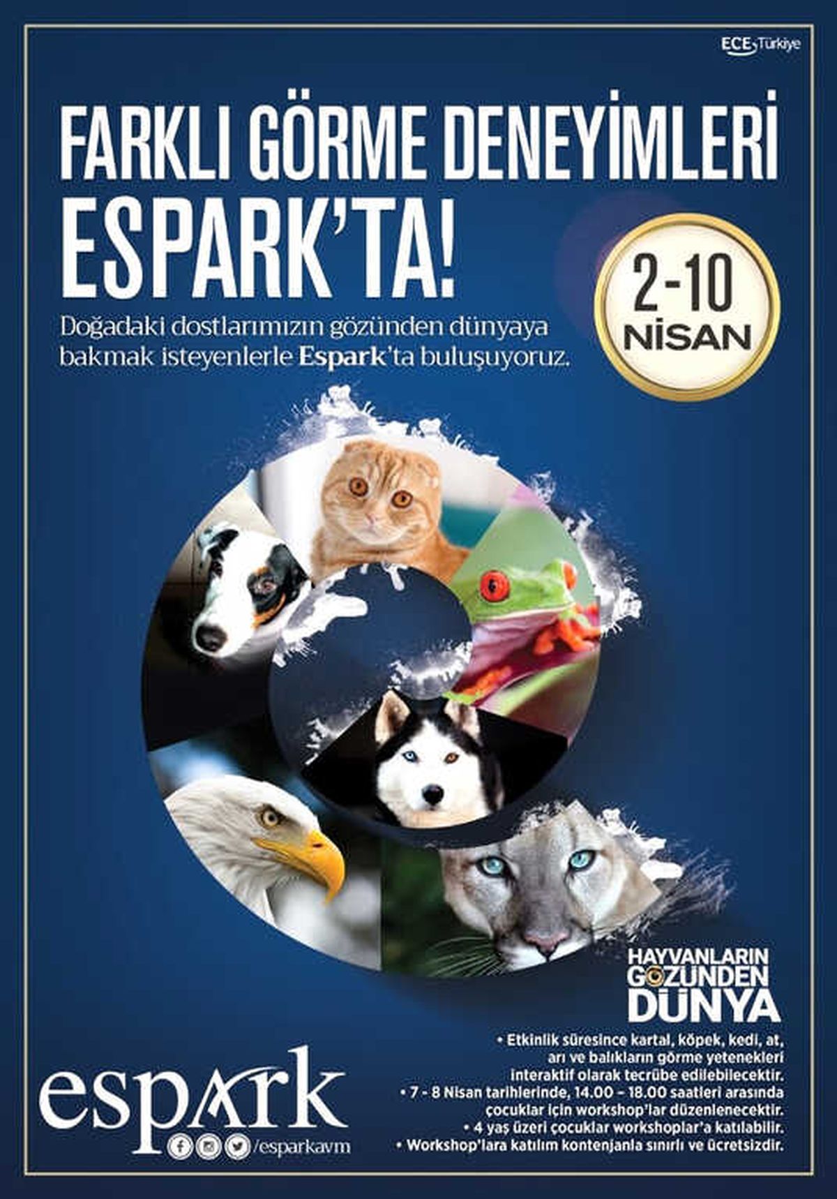 Canlı Dostlarımızın Gözünden Dünya Espark\'ta