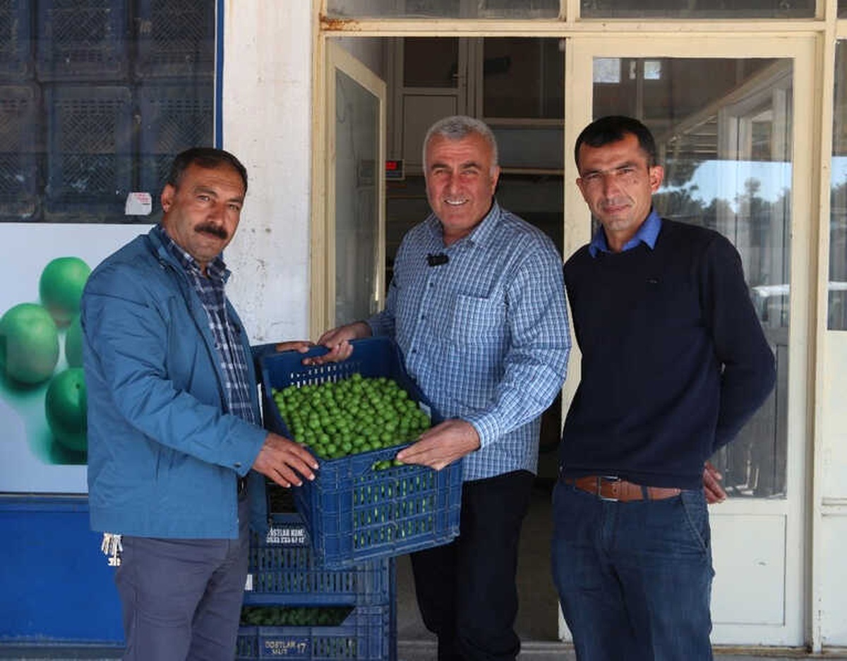 Erik Üreticisi Fiyatlardan Memnun