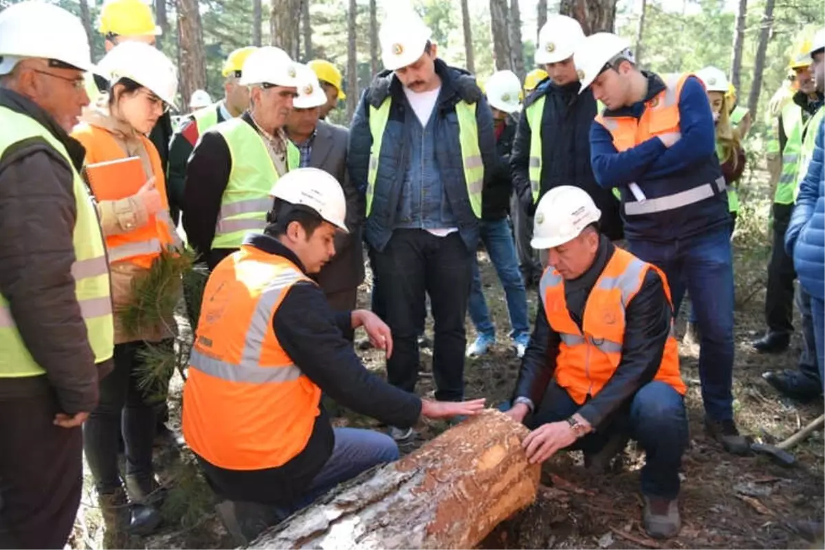 Eskişehir Orman Bölge Müdürlüğü Eğitimlerini Tamamladı