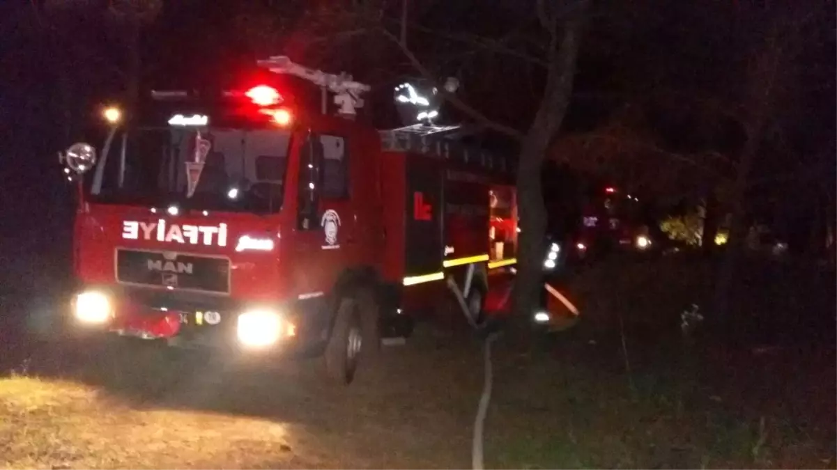 Ayvalık Belediye Başkanı Gençer Ormanı Yanmaktan Son Anda Kurtardı