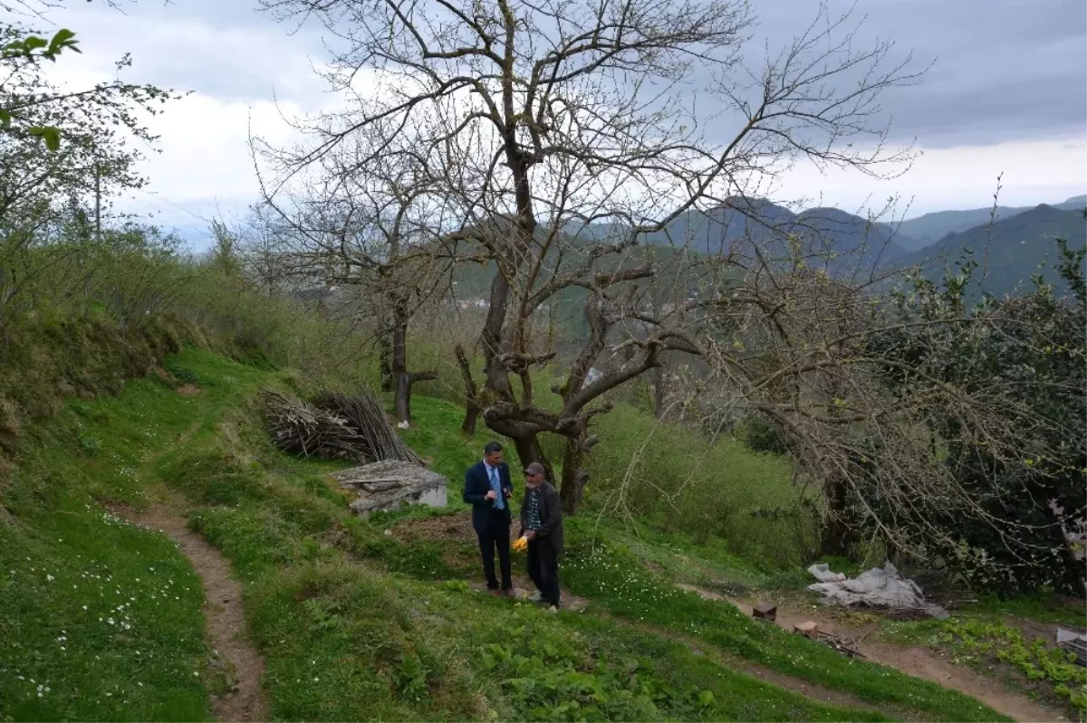 Başkan Kaya Gönülleri Fethediyor