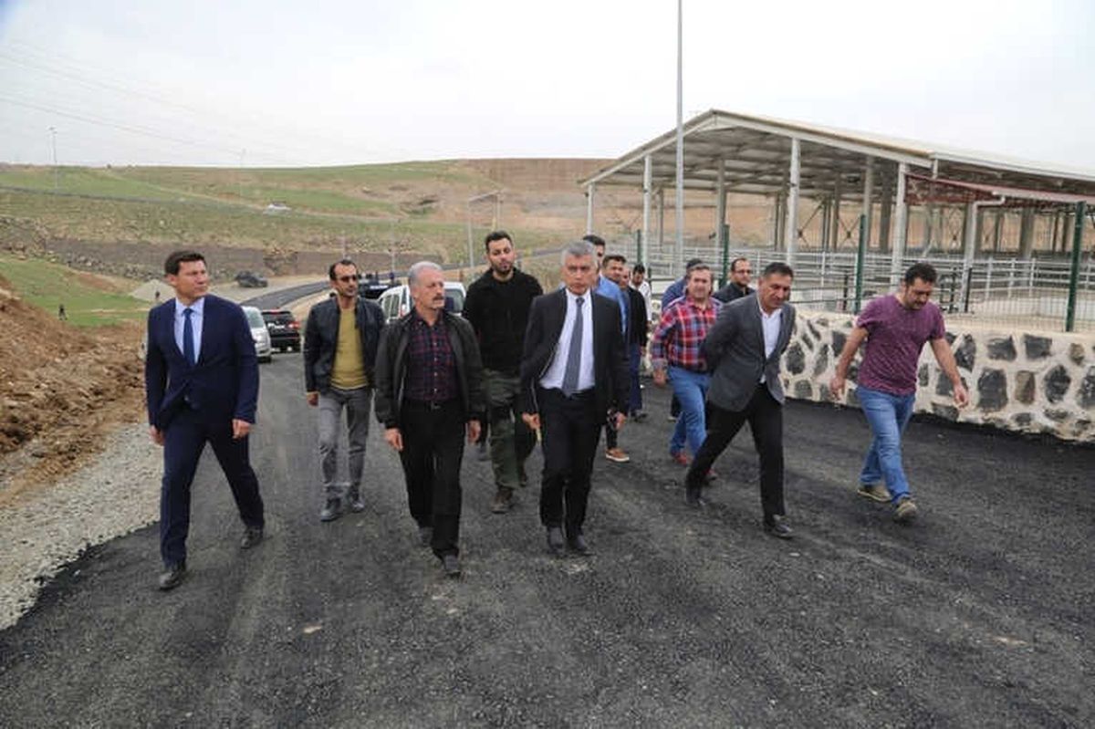 Cizre\'de Hayvan Pazarı Faaliyete Başlıyor