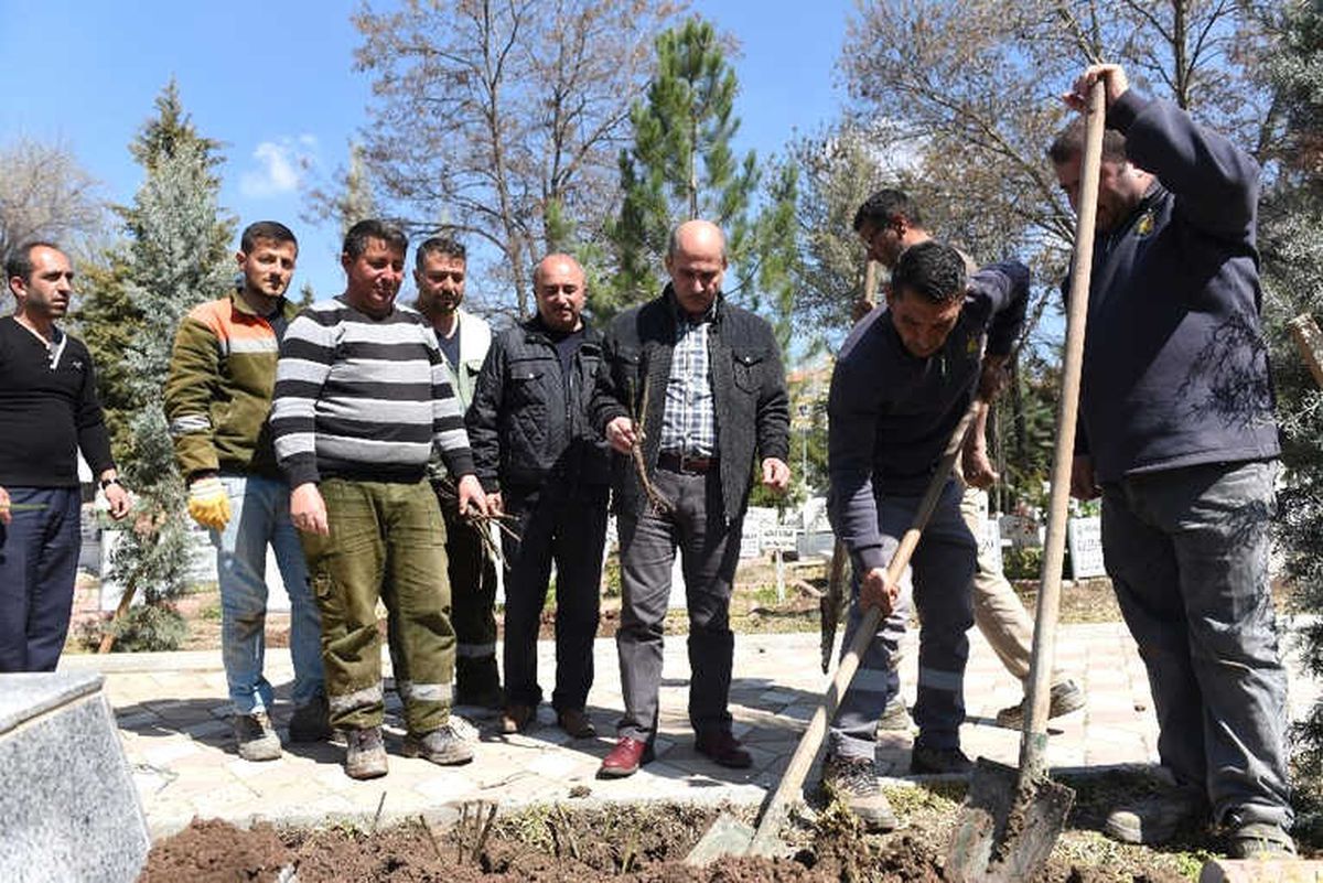 Çorum\'da Mezarlıklara 5 Bin Gül Fidanı Dikildi