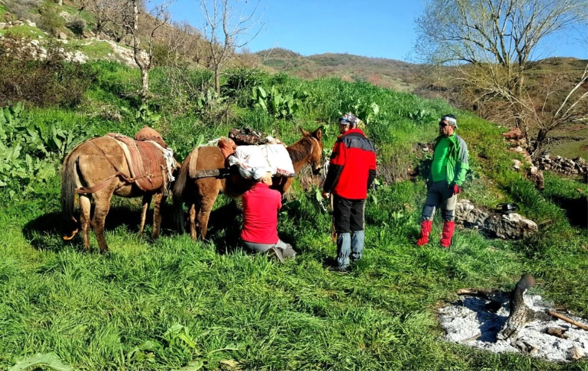 Hakkarili Dağcılar Balkaya Dağına Keşif Tırmanışı Yaptı