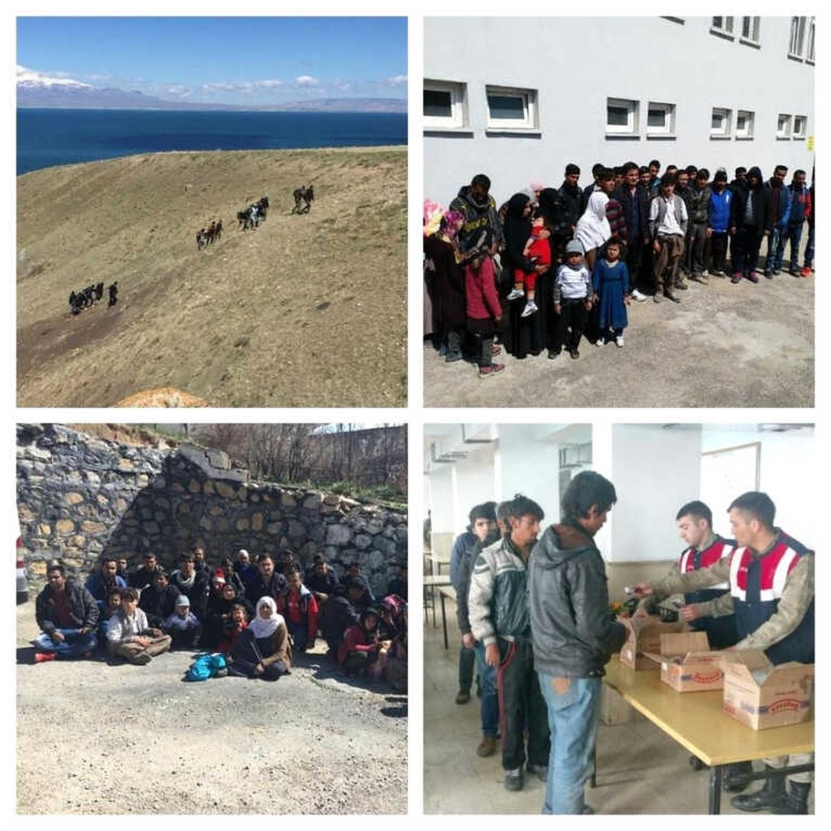 Jandarma Son Bir Hafta İçerisinde 206 Kaçak Göçmen Yakaladı
