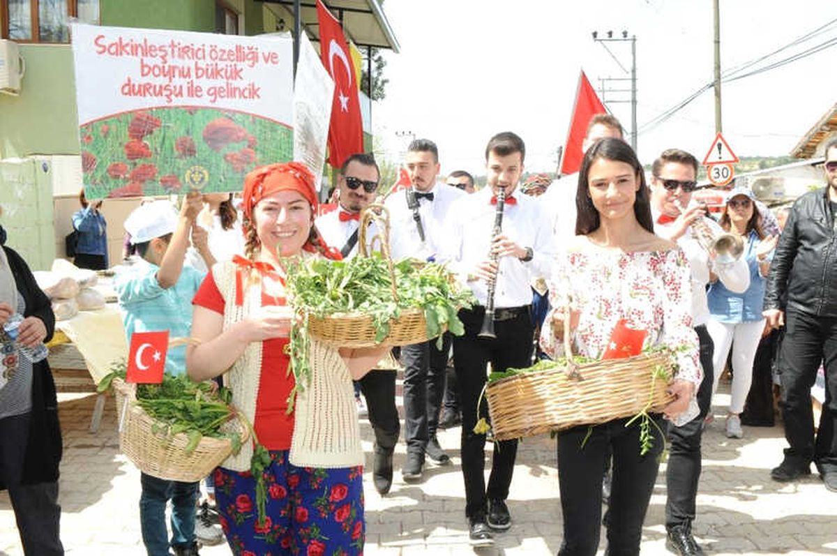 Nif Dağı\'nın Lezzetli Otları Şenlendi