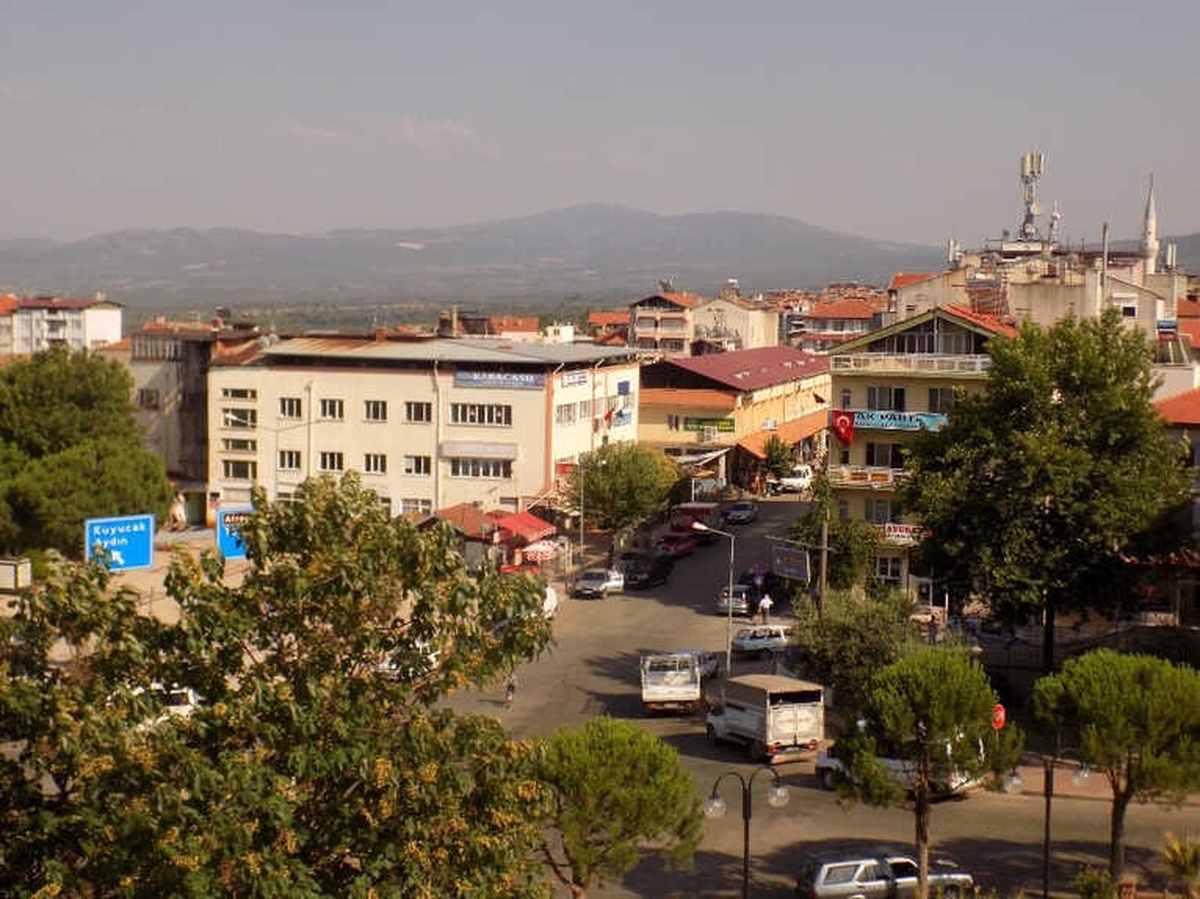 Çalınan 16 Koyuna Değil, Hırsızların Vicdansızlığı Yıktı
