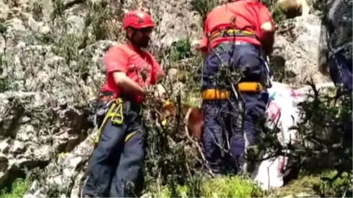 Kayalıklarda Mahsur Kalan Keçiler Kurtarıldı