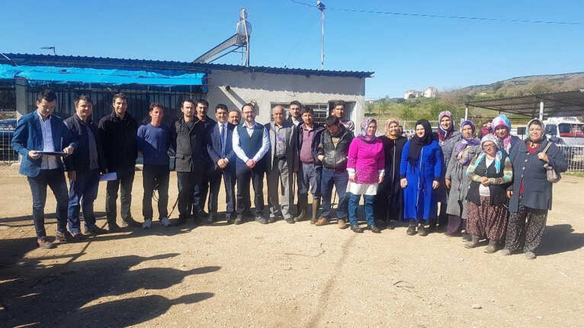 Kulalı Genç Çiftçilere 96 Düve Dağıtıldı