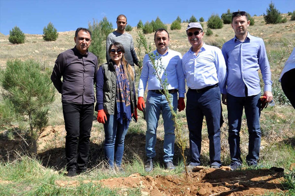 Mardin Barosundan Hatıra Ormanı
