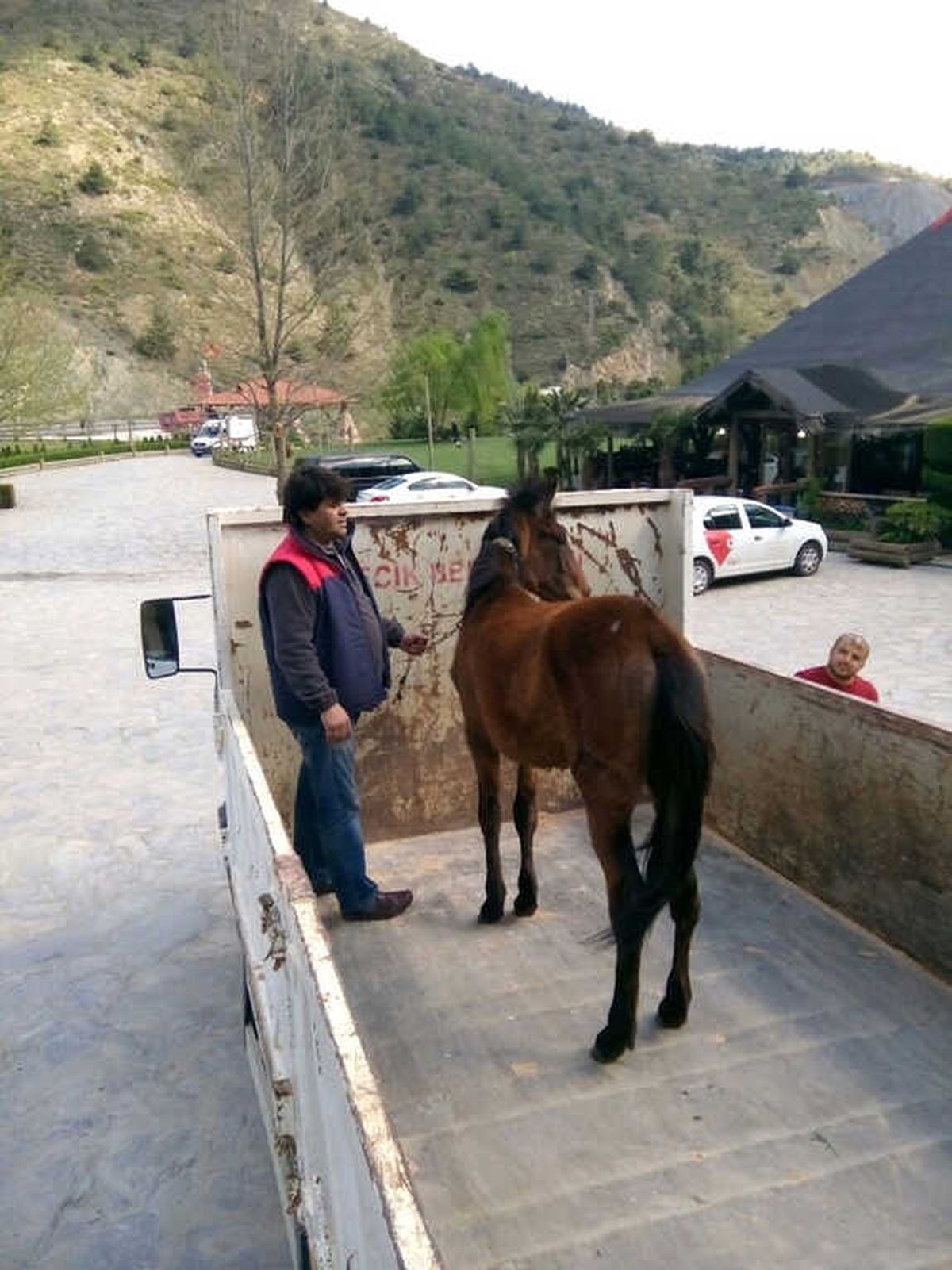 Yakalanan At Sahibine Teslim Edildi