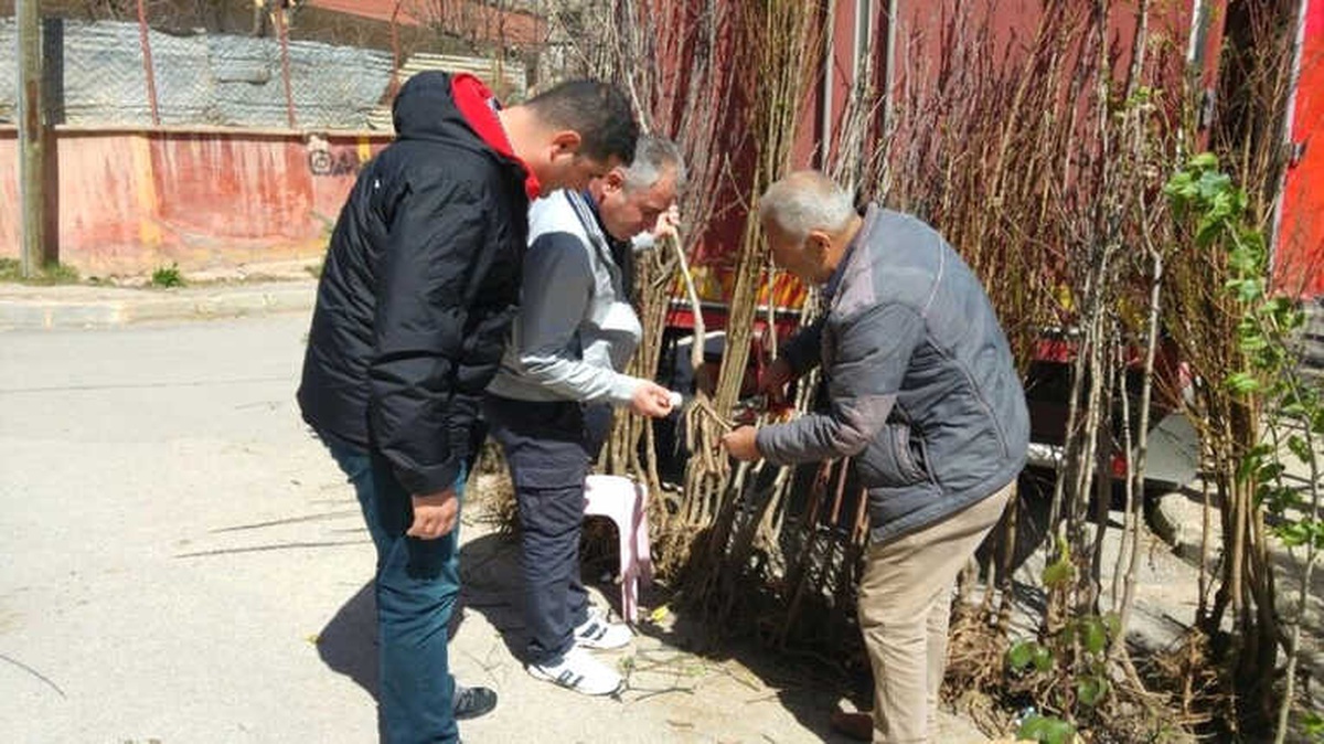 Bayburt\'ta Fide, Fidan ve Süs Bitkileri Satış Yeri Denetimleri Yapıldı
