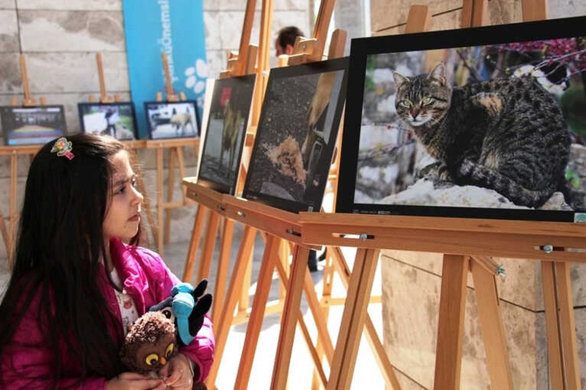Can Dostları Bu Fotoğraflarda