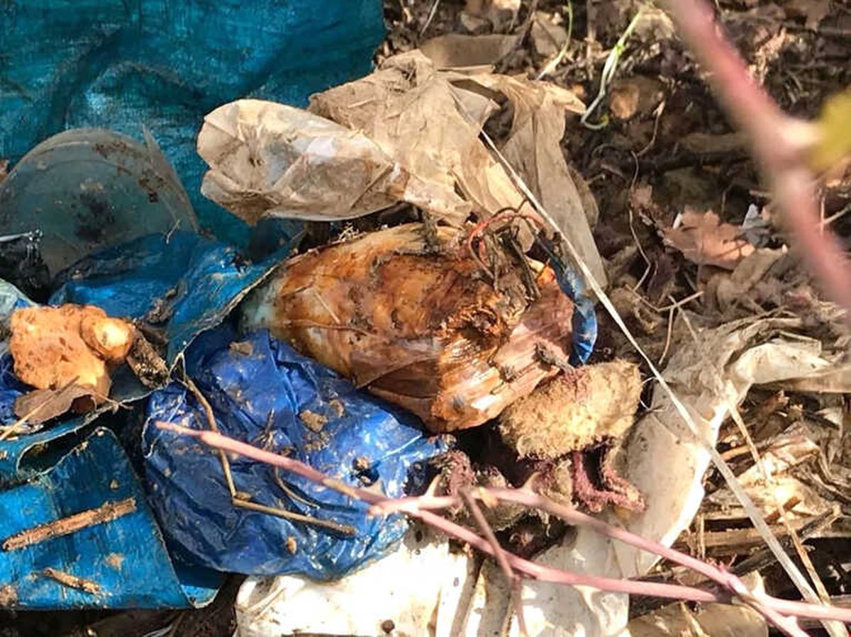 Hakkari Kırsalında Silah ve Mühimmat Ele Geçirildi