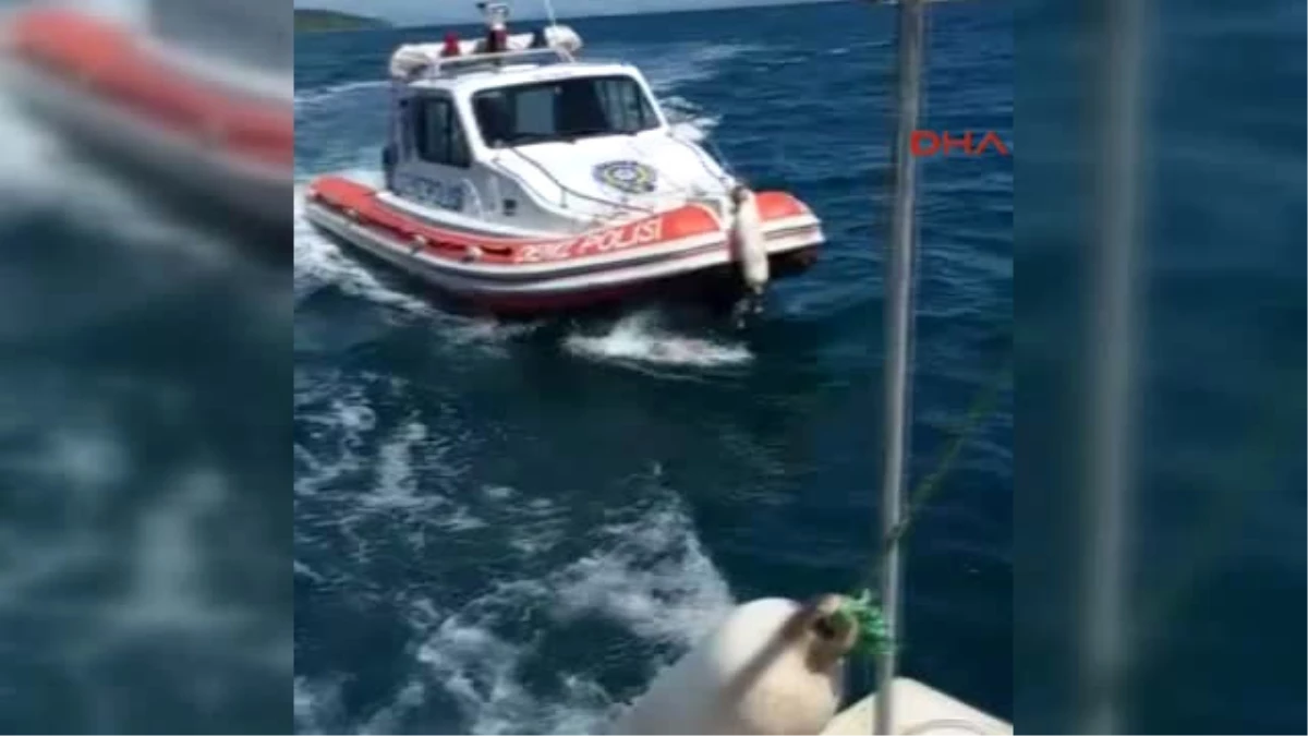 İzmir Urla\'da Deniz Patlıcanı Operasyonu