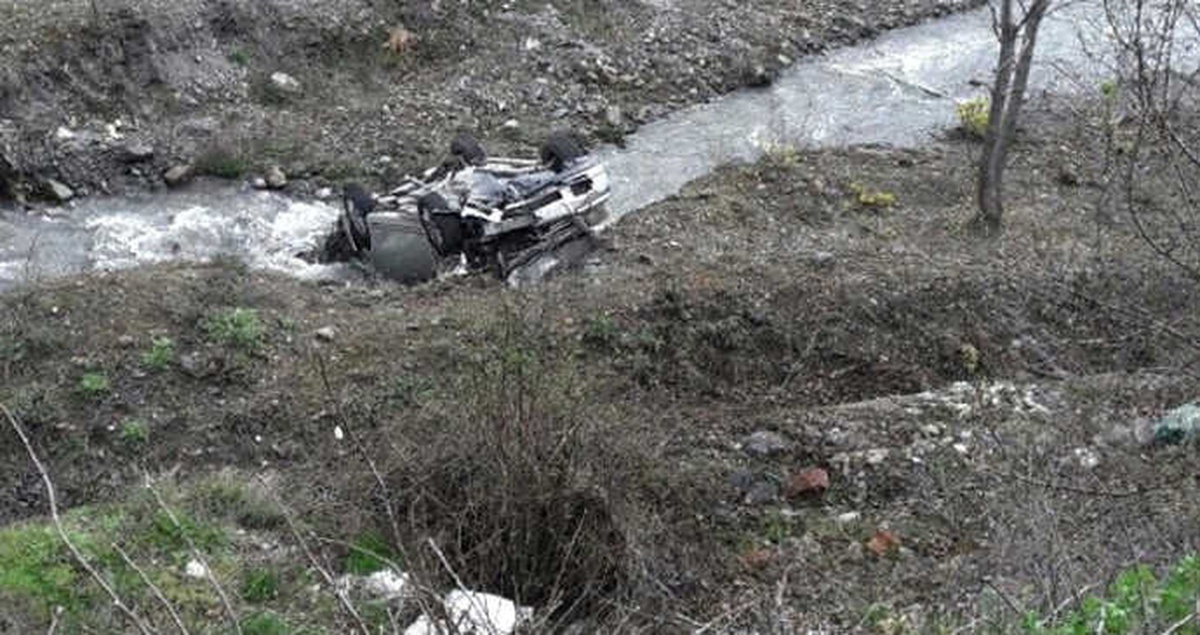 Yolda Gördüğü Kirpiyi Ezmemeye Çalışan Sürücü Dereye Uçtu: 2 Yaralı