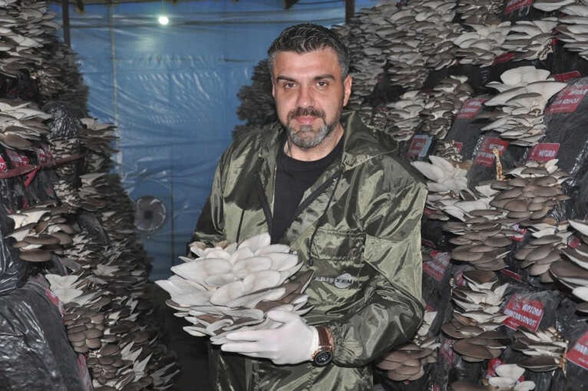 Mantar Üreticisine Devlet Desteği