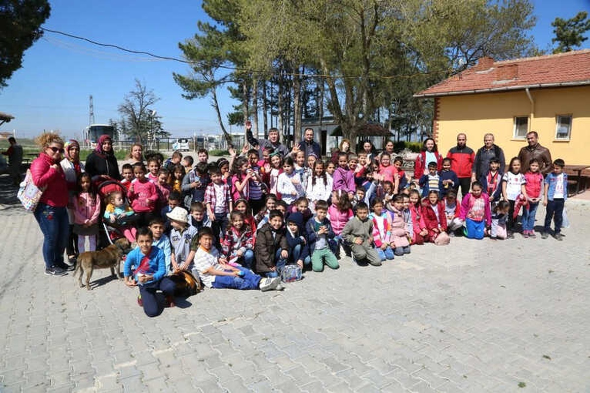Sokak Hayvanları Gününde Çocuklardan Barınağa Ziyaret