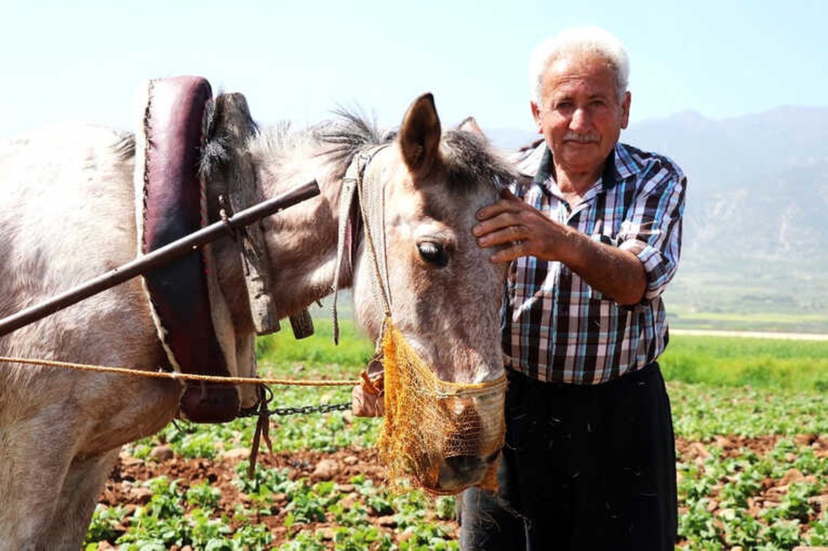 Günlük 150 Lira Yevmiyeyle İşsizliğe Meydan Okuyorlar