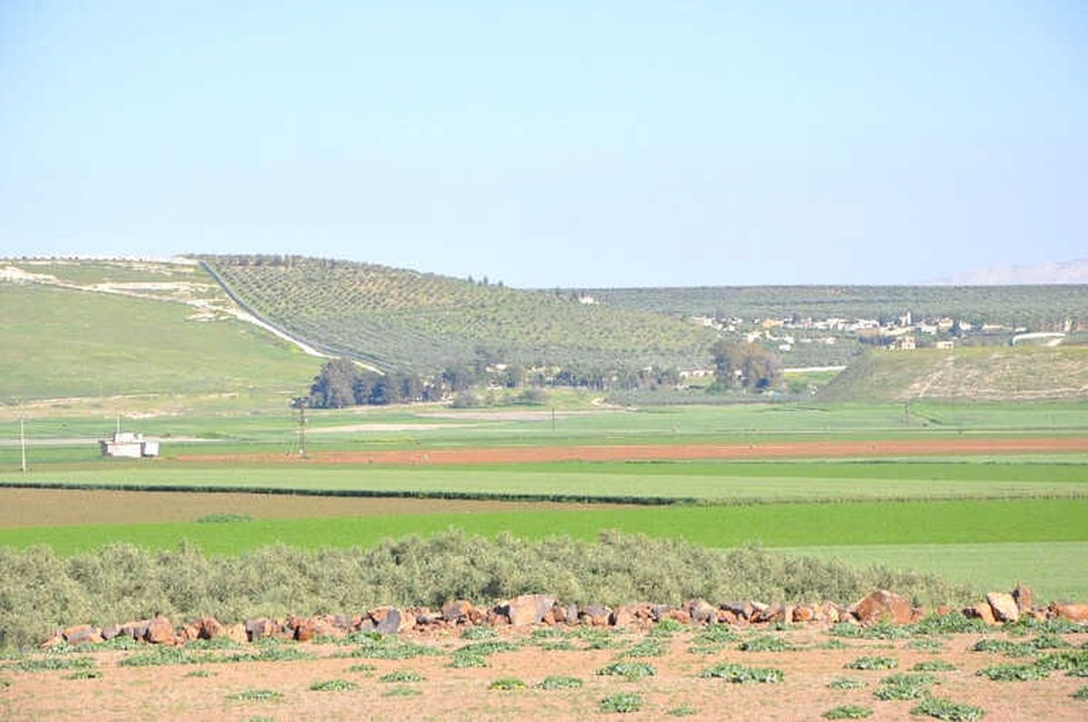 Hatay\'a "Zeytin Dalı Sınır Kapısı"