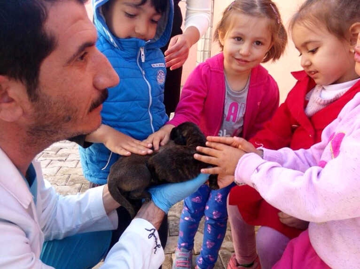 Minikler Tedavi Altındaki Hayvanları Sevdi