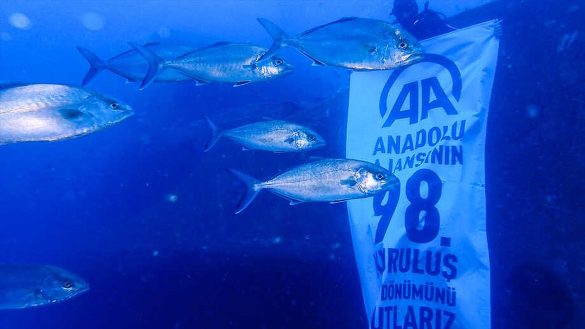 Anadolu Ajansı 98 Yaşında