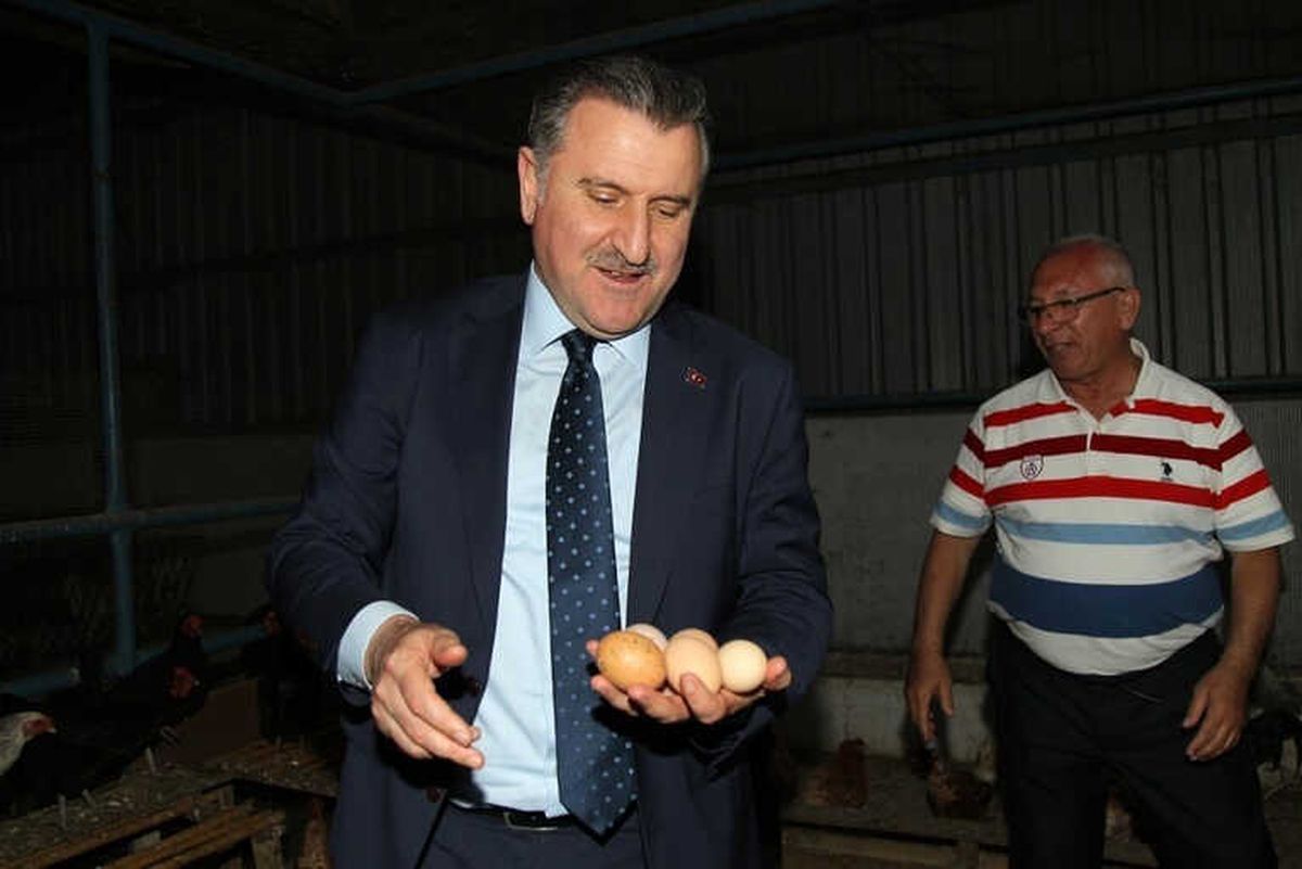 Bakan Bak Yumurta Topladı