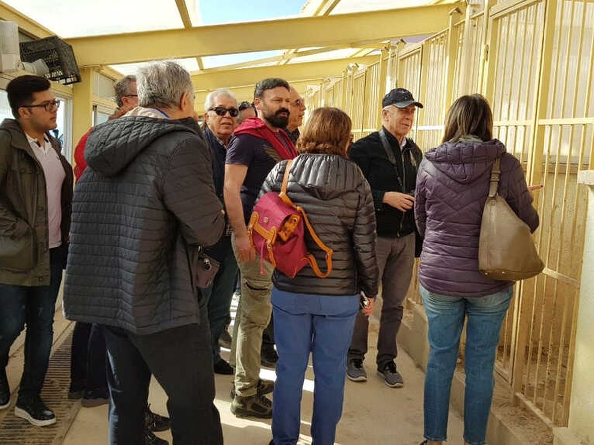 Kangallara Turist Akını