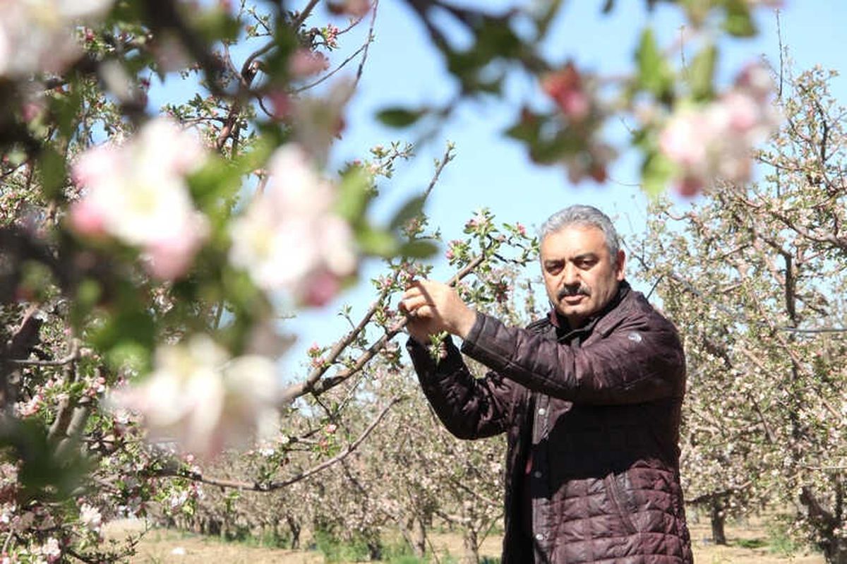 Karaman\'da Elmayı Don Vurdu