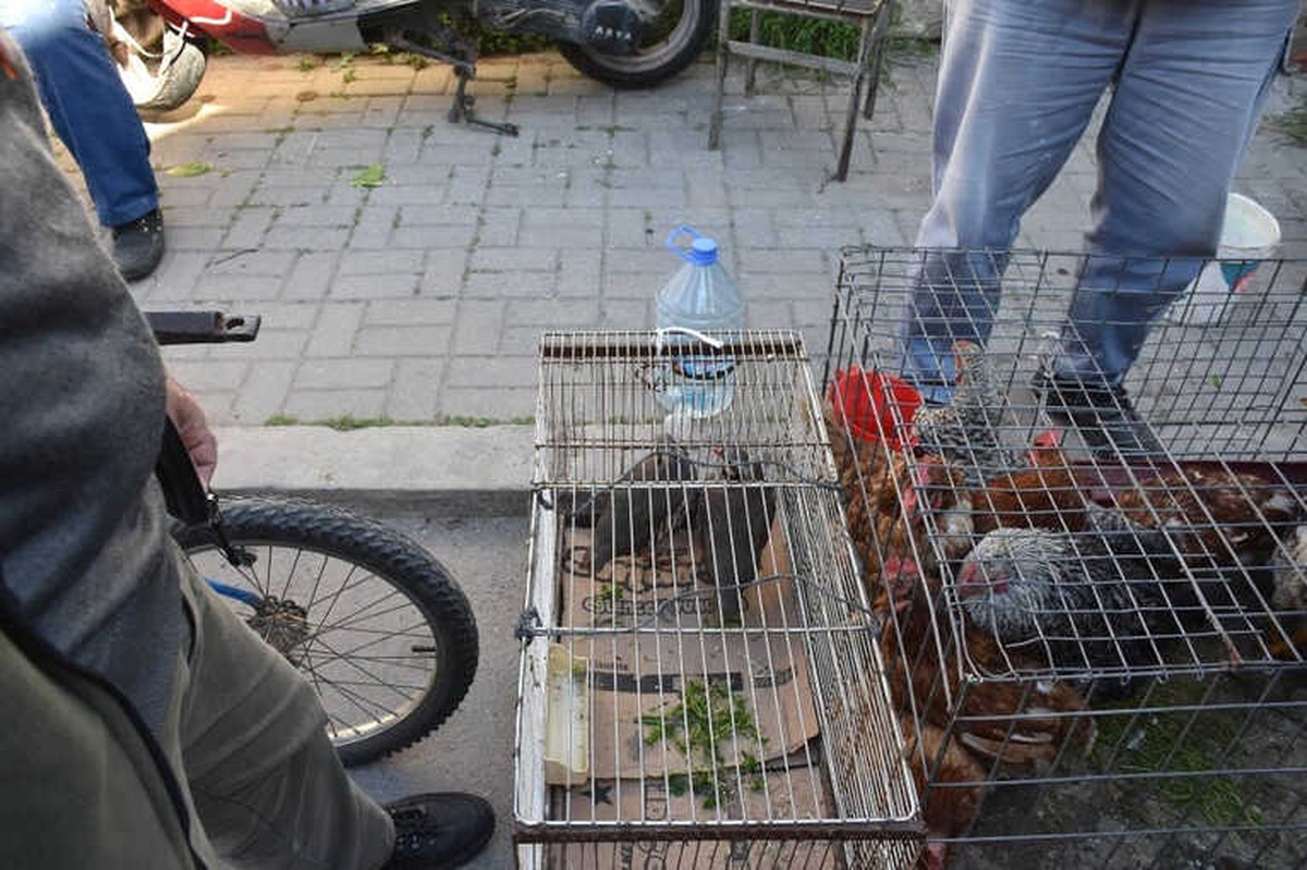 Keklikleri Pazarda Satmaya Kalkınca Cezayı Yedi