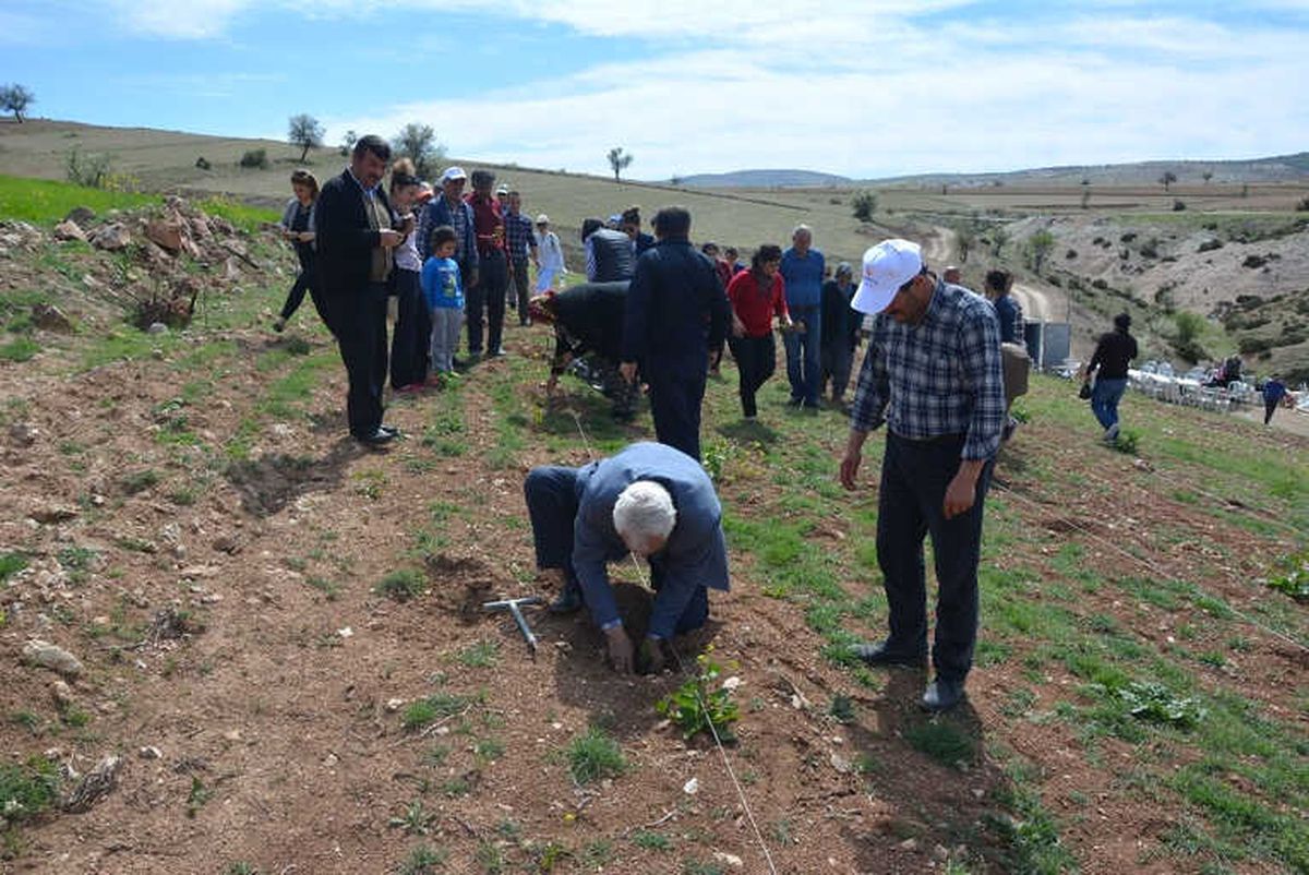 Küçükköy Lavanta Açacak