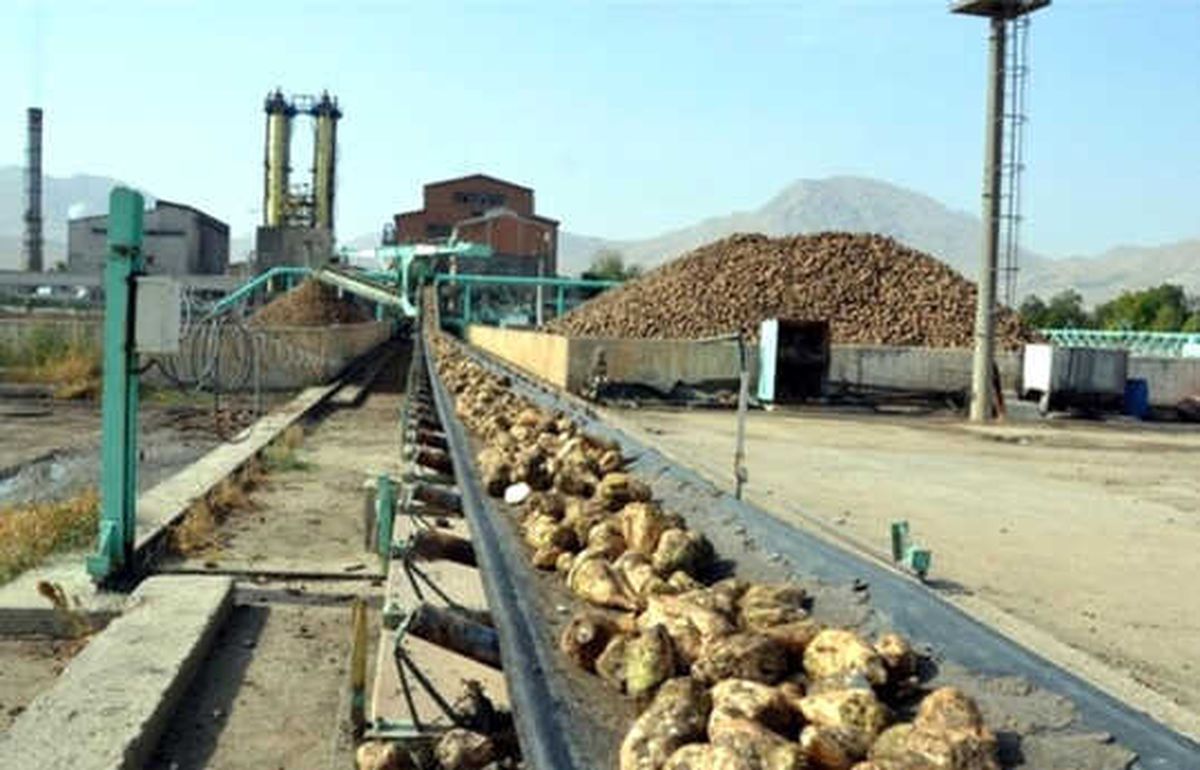 Şeker Fabrikalarında İlk İhale Yapıldı