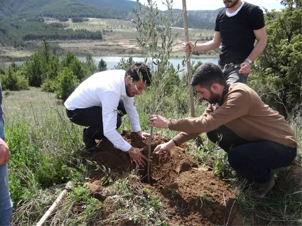 Ak Gençlik Her Şehit İçin Birer Fidan Dikti