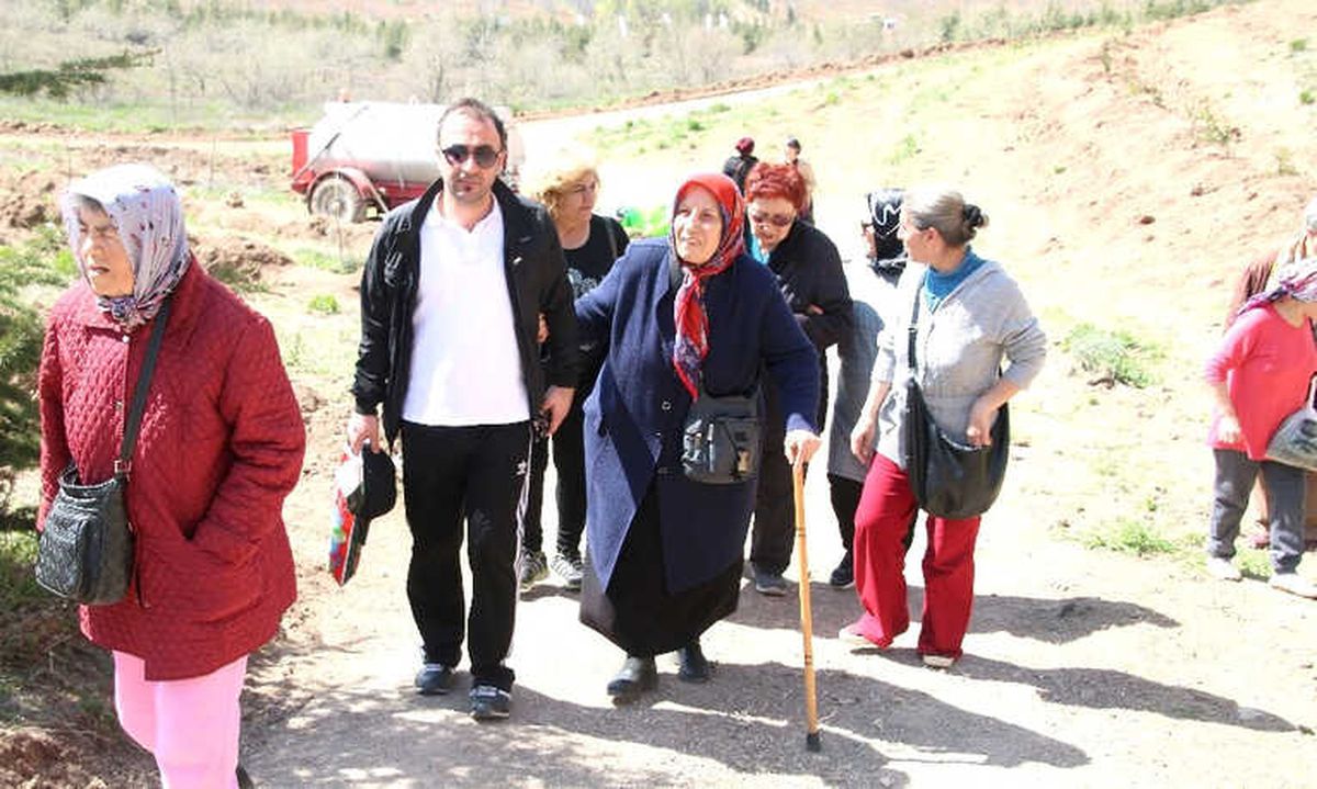 Çam Fidanları Toprakla Buluştu
