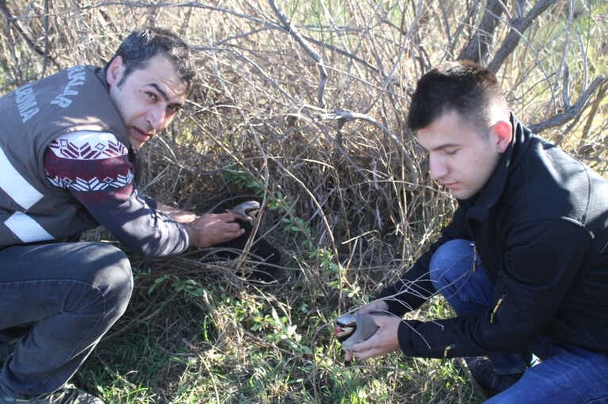 Iğdır\'da Keklik Avına Para Cezası