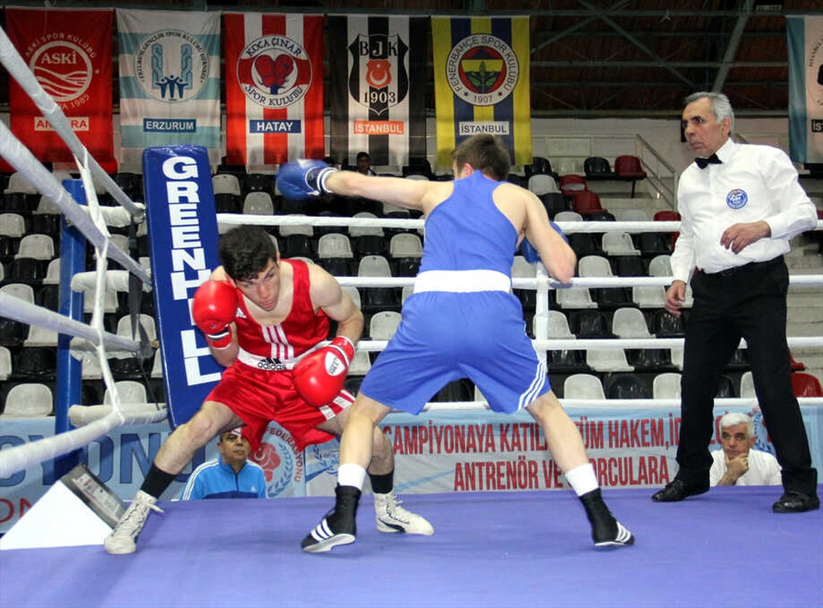 Spor Toto Türkiye Boks Ligi